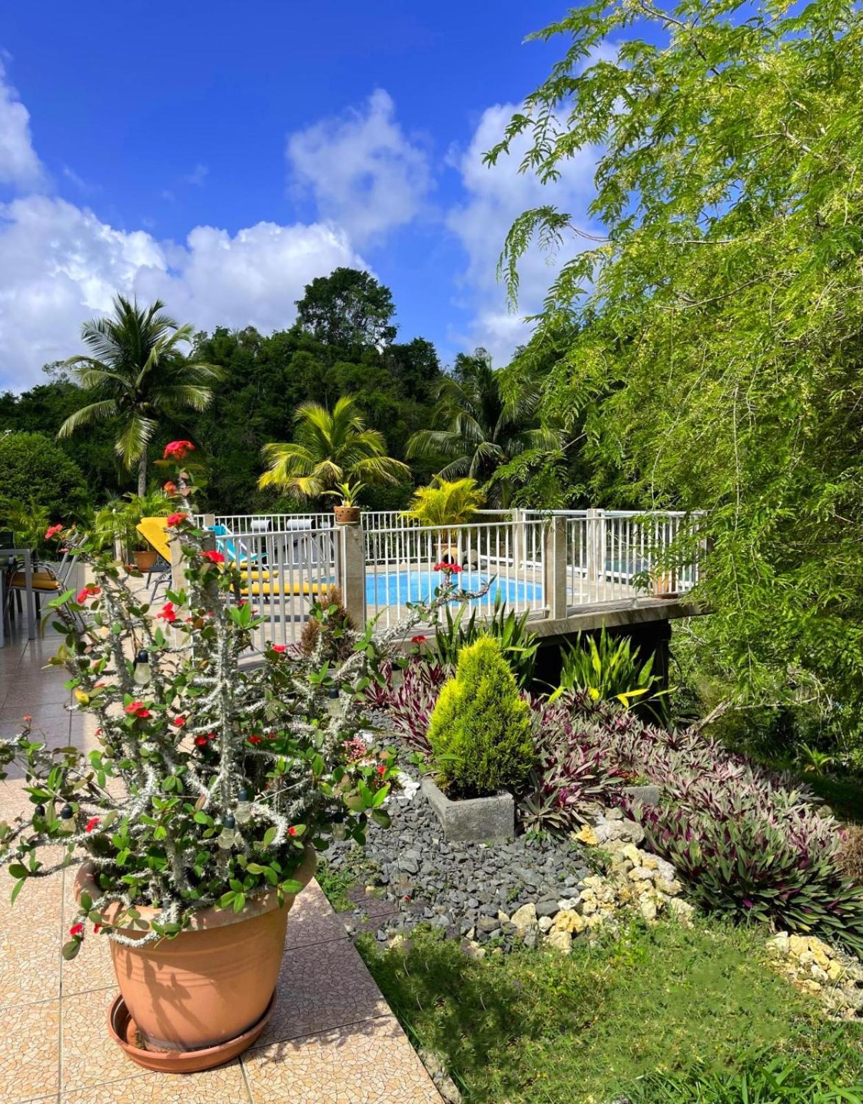 La Villa Ixora, Magnifique Villa Avec Piscine Les Abymes Eksteriør bilde